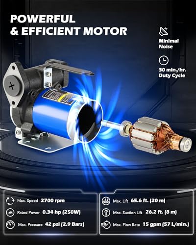 OMT 12V Electric Gasoline Transfer Pump Kit,15GPM Diesel Fuel Transfer Pump - color: 15GPM Gas Pump Kit