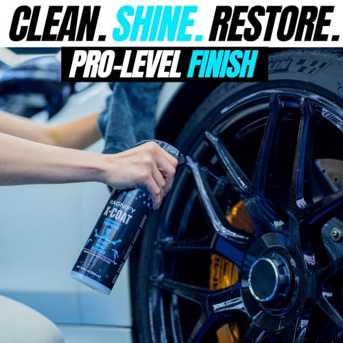Ragnify- 2 Clay Mitt with Detailing Spray 16oz, Quick Waterless Detailer for Shine, Car Wax for Clay Bar, Gloss & Depth to Paint, Quick Pro Detailer Kit (2 X16 Oz Spray Bottles, 2 Mitts & Towel) - color: Blue Mesh Clay Mitt