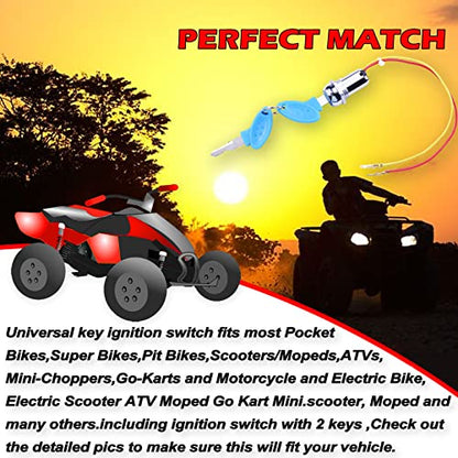 2 Wires Ignition Switch Key Starter Switch with 2 Keys On-Off