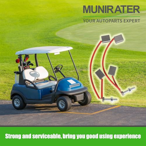 munirater Starter Generator Motor Brush Replacement for 103347301