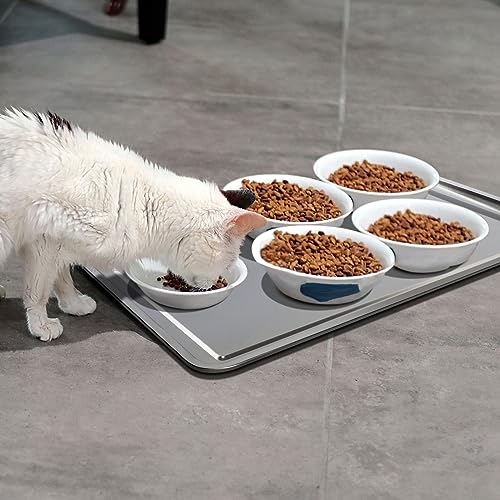 Gisafai Stainless Steel Oil Drip Pan for Under Car Metal Automotive 35.43 x 23.62 Inch Large Drip Tray Oil Catch Pan Replacement Tray Rust Resistant Motorcycle Keep Floor Clean(1 Pcs)