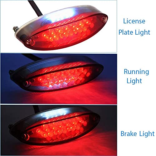 DREAMIZER Universal Motorcycle 28 LED Tail Lights Run Driving License Plate Light Rear Brake Indicator Lamp Compatible with Bobber ATV Quads Street Cruiser Dirt Bike - size: Oval