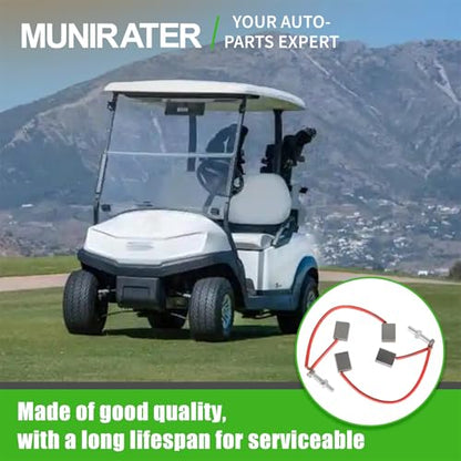 munirater Starter Generator Motor Brush Replacement for 103347301