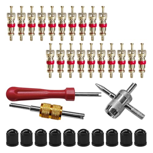3PCS Car Tire Valve Stem Removal Tool with 20PCS Valves Cores, 10PCS Valves Caps, 4-Way & Dual & Single Head Valve Core Remover Installer, Multifunction Car Tire Repair Tool (Silver)