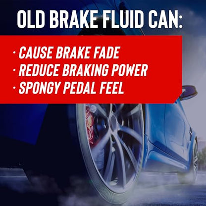 STP Synthetic Brake Fluid, Dot 4 Brake Fluid Protects Brake Systems, ABS, Disc and Drum Systems, 12 Oz, STP (Pack of 2) - size: 12 Ounce (Pack of 2), style: Fluid