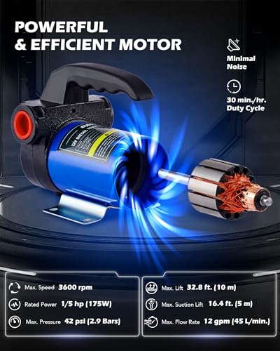 OMT Diesel Transfer Pump Kit, 12V Fuel Transfer Pump Kit with Nozzle Hoses - color: 12GPM Diesel Pump Kit with Case