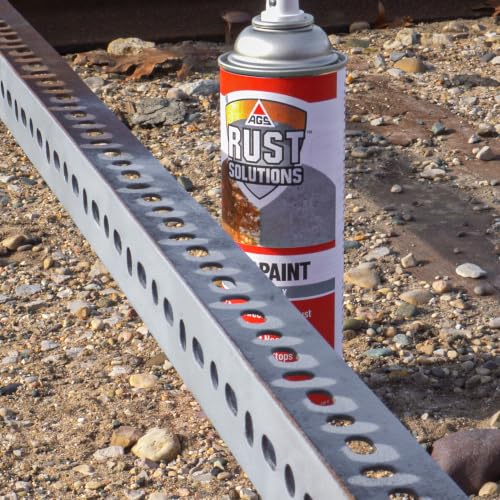 AGS RUST SOLUTIONS Rust Spray Paint, 14oz, Durable Matte Grey Finish, Safe for All Surfaces, Eradicate Rust and Ensure Long-Lasting Protection Against Weather and Wear - color: Matte Gray, size: 14 Ounce (Pack of 1)