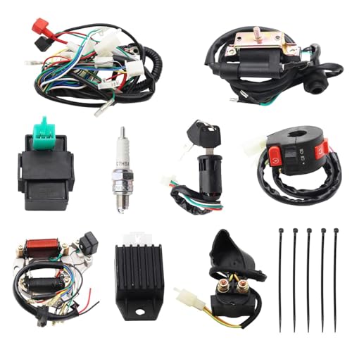 PRO BAT 110cc ATV Full Wiring Harness w/ 2-Coil Stator 5-Pin AC CDI - color: White Spark Plug