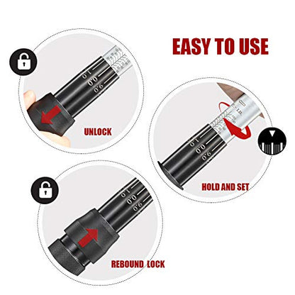 1/2-Inch Drive Click Torque Wrench (10-150 ft.-lb./13.6-203.3Nm) Dual-Direction Adjustable Torque Wrench Set