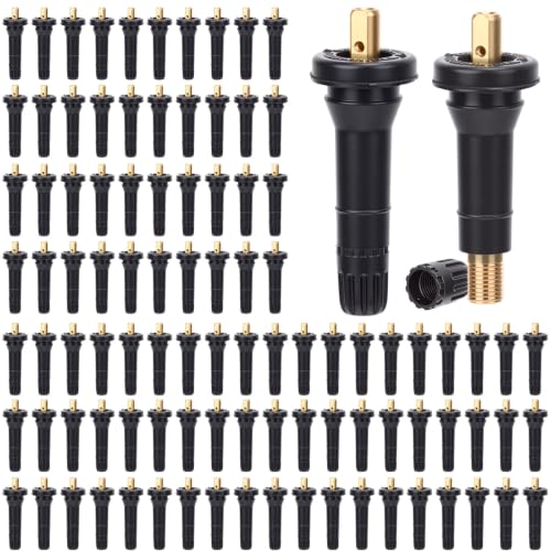 BBTO 100 Pcs 17-20008 TPMS Snap-in Tire Pressure Sensor Valve Stem, 20008 20018 Replacement