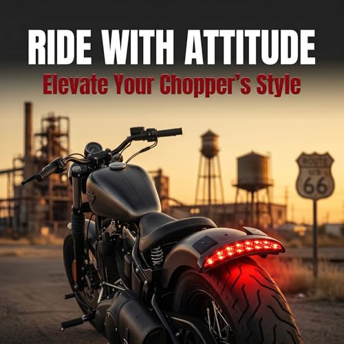 ANKIA 5 Wires Motorcycle Chopped Rear Fender Edge LED Tail Light
