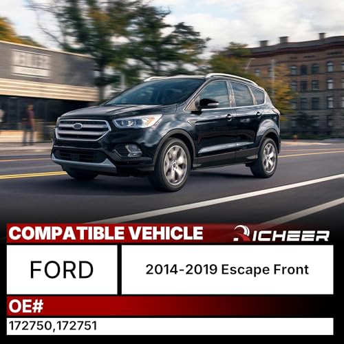 Richeer 172750 Front Strut Shock Assembly Compatible With 2014-2019 Escape - color: 172570, size: 2014-2019 Ford Escape Front Strut Assembly