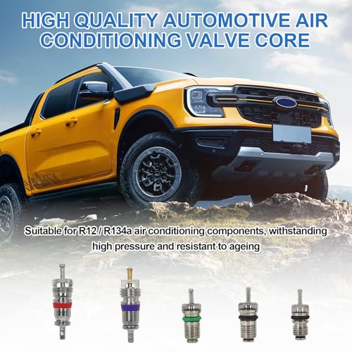 102Pcs Auto Air Conditioning Valve Core Accessories Kit