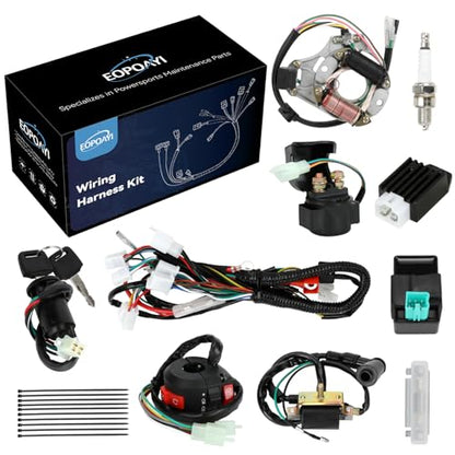 EOPOAYI Complete Wiring Harness Kit for Tao tao Coolster 110cc Chinese ATV