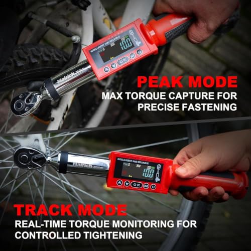 Hairich 1/4 Inch Drive Digital Torque Wrench 1.5-30N.M - size: Digital 1/4inch 1.5-30NM