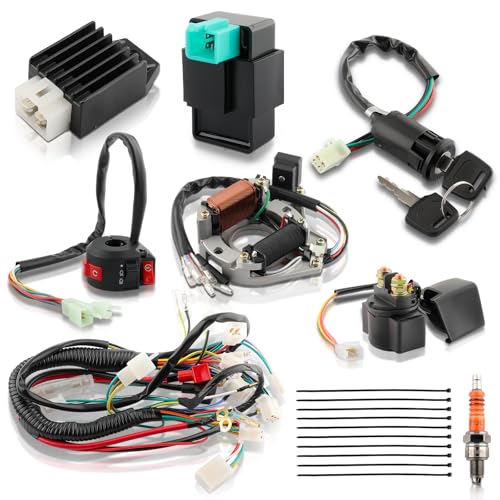 GoaMotors Complete Wiring Harness Kit with Ignition Coil Rectifier Ignition Key Switch Starter CDI Solenoid Relay for Coolster for Tao tao for X pro 50cc 100cc 125cc ATV Quad 4 Wheeler 4 Stroke Parts