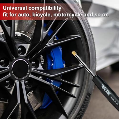 SUNSOUL 102PCS Schrader Tire Valve Cores with 4-Way Valve Core Removal Tool