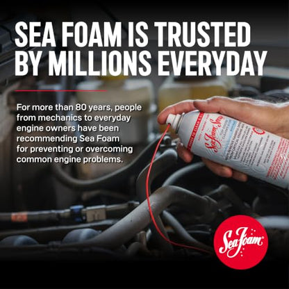 Sea Foam Spray Intake System and Valve Cleaner, 14 oz, Pack of 1 - size: Pack of 1
