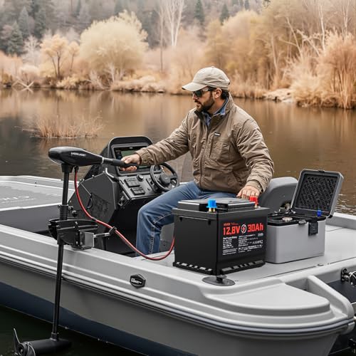 VEVOR 12V 30Ah LiFePO4 Dual Purpose Battery, 600CCA BCI Group 47 Deep Cycle & Starter Lithium Battery, Built-in Smart BMS, Automotive Start-Stop for RV, Marine, Trolling Motor, Car & Engine Starting - style: Group 47 30Ah 600CCA