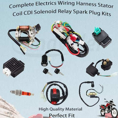 Complete Electrics Stator Coil CDI Wiring Harness Spark Plug Kits Aftermarket Replacement Parts Fit for 50cc 70cc 110cc 125cc ATV Go Kart Quad 4 Wheeler Dirt Pit Bikes.