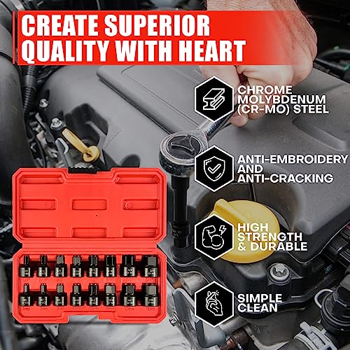 C&T 16 Piece 3/8-Inch Drive Low Profile Impact Hex Driver Set, SAE & Metric