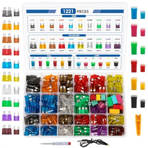 1221 Piece Car Fuse Assortment Kit 2A-80A Mini Standard JCASE