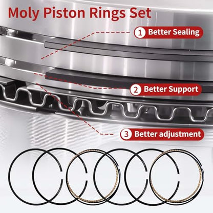 Moly Piston Rings Set 2M4978 for Chevy GMC