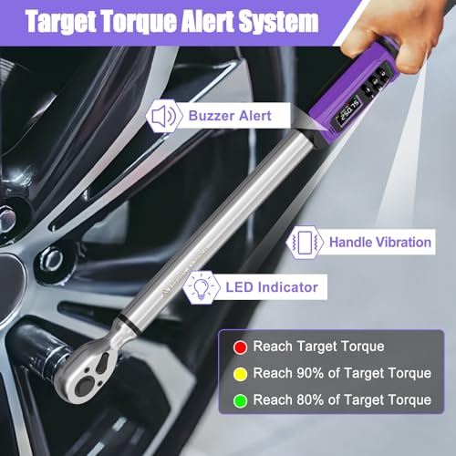ANPUDS 1/2" Digital Torque Wrench, ±1% Accuracy, 3.76-250.75 Ft-lb - size: 3.76-250.75 Ft-lb
