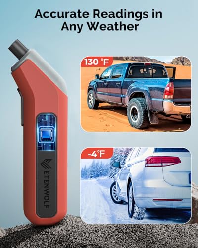 ETENWOLF T300 Plus Tire Pressure Gauge 3-200 PSI with Presta Valve Adaptor - color: space grey