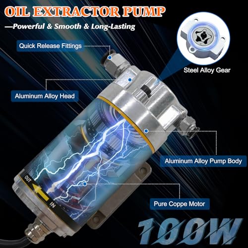 12V 100W Portable Oil Transfer Pump, Engine Oil Extractor Pump - color: SET 01