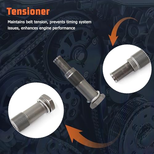 ‎11317584084 Engine Timing Chain Kit Intake&Exhaust Camshaft VVT Gears Suit N20 N26 Engine Applied for 328 428 528 X3 X5 2.0 Aftermarket Parts Replace for 11318648732, 11317516074 - size: Timing Chain Kit&VVT Camshaft Adjuster Gear