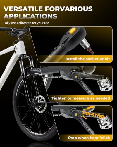 1/4" Torque Wrench Set with Bit Sockets, 10-220 in.lb Precision Click Torque Wrench Kit, S2 Steel Bits, Extension Bar & Case for Bike and Auto Repair - size: 1/4"