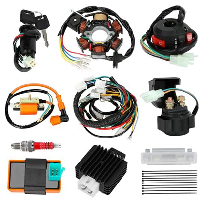 Complete Wiring Harness Kit Compatible with Tao tao Coolster 110cc 125cc Chinese ATV Quad 4 Wheeler 4 Stroke Parts with Ignition Coil Relay Solenoid Voltage Regulator CDI Box Stator Starter