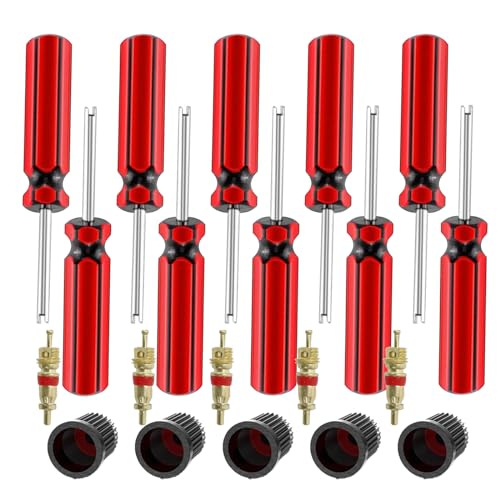 5 Pcs Valve Core Removal Tool,Spool Removal and Installation Tool, 5Valve Stem Core/Spool, 5Stem Caps fit for Most Automotive Car Motorcycle Truck Bike Tire (15)