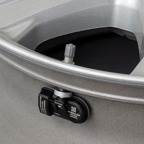Myers Tire Supply U-Pro Hybrid 2.5 TPMS, Programmable Dual Valve