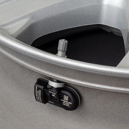 Myers Tire Supply U-Pro Hybrid 2.5 TPMS, Programmable Dual Valve