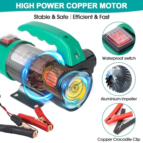 AIGMlSON Diesel Transfer Pump 12V 260W - color: with nozzle hoses