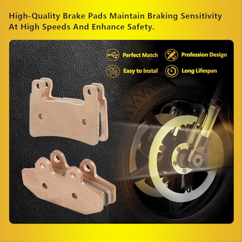 Sintered Disc Brake Pad For 2018-2024 Harley Davidson 107 Series, 114 Series, 117 Series, FLI Hydra-Glide Revival, Replace# FA265 41300102, FA710 41300197