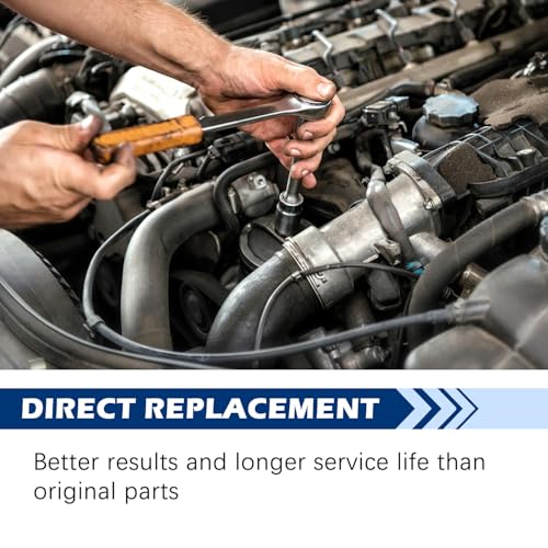Oil Pump Timing Drive Chain Set 11417605366 Engine Timing Chain Set Fits for BMW 228 528i 428i 320i X1 X3 X4 X5 Z4 N20 N26 Oil Pump Drive Chain Replacement OE# 11417605366 11417605367