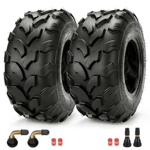 EOPOAYI 19x7-8 ATV Mini Bike Tires Tubeless Compatible with Coleman CT200U BT200X Baja MB165 MB200 Taotao Coolster 110cc 125cc UTV Quad 4 Wheeler Go Kart Replacement Parts PVR70 Valve Stem Set of 2 - size: 2 Pack