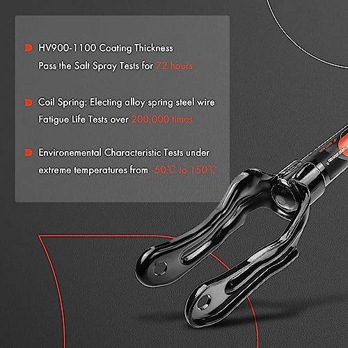 A-Premium Front Complete Strut Assemblies with Coil Springs, Set of 2