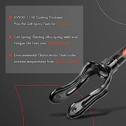 A-Premium Front Complete Strut Assemblies with Coil Springs, Set of 2