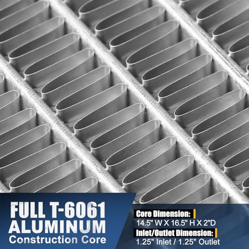 Auto Dynasty Radiator for 92-01 Honda Civic Del Sol Acura Integra - color: 92-01 Civic/Del Sol/Integra MT