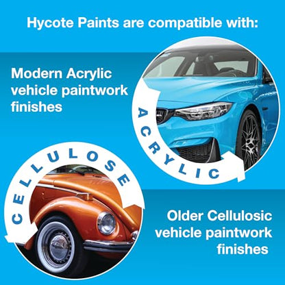 Hycote Enhanced Covering Power Aerosol Car Spray Paint, Etch Primer, 13.5 Oz (Pack of 2) - color: Etch Primer, size: 13.5 Ounce (Pack of 2)