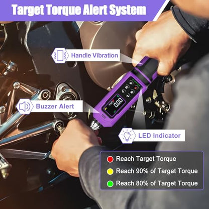 ANPUDS Digital Torque Wrench 3/8", ±1% Accuracy, 0.66-44.25 Ft-lb - size: 0.66-44.25 Ft-lb