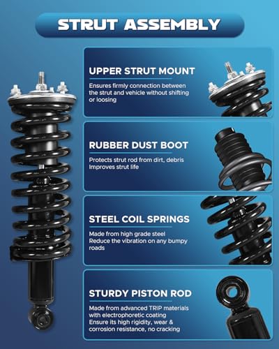 2Pc Struts Fit for Toyota Camry 2002-2003 Lexus ES300 2002-2003 - size: Fit for Camry 02-03 2x Struts Assembly (72)