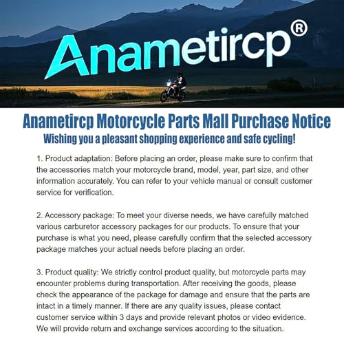 Carburetor Rebuild Kit for Suzuki DR650 Motorcycles Mikuni BST40 Carburetor[Anametircp]