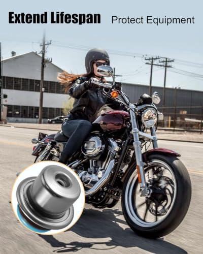 Fuel Pressure Regulator Filter Fit for Harley Davidson EFI 2001-2007
