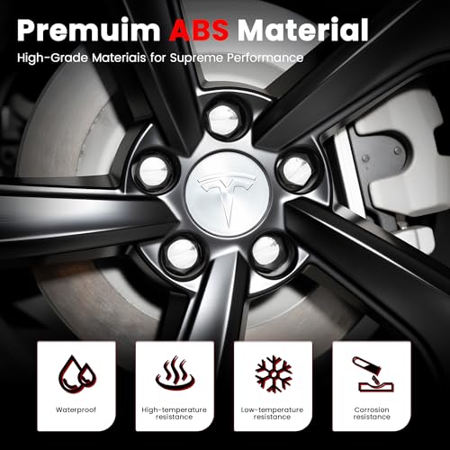 4 Pack Car Wheel Center Hub Cap Kit with 22 Lug Nut Covers - color: Silver & Silver