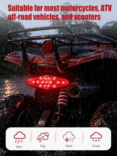 Watris Veiyi 12V Motorcycle Rear Brake Tail Light for ATV Dirt Bike